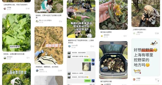 ：“体验经济”的7种打开方式九游会j9ag重构消费价值(图11)