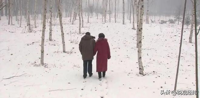 人重播最多的1部剧打了多少烂剧的脸！九游会j9登陆18年前的国产剧有多吓(图26)